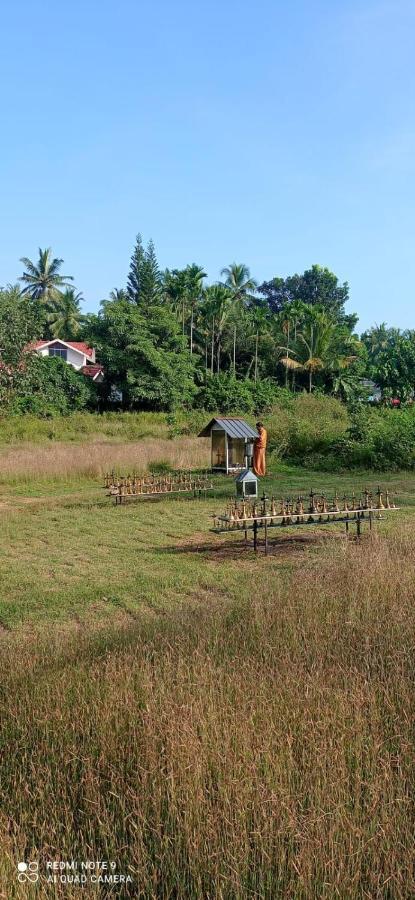 Narayanalayam-Vintage Retreat-Homestay & Rest'Inn Kannur Eksteriør bilde